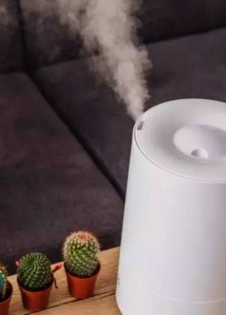 Skincare invernale: il potere (sottovalutato) dell'umidificatore